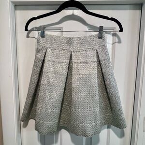 Elegant Gray Women's Skirt